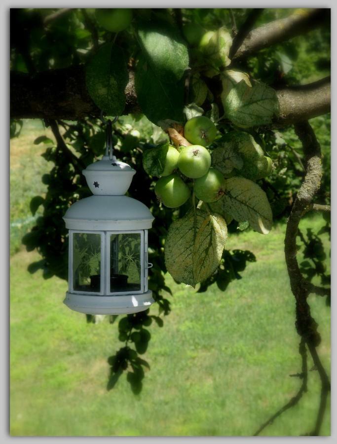 مبيت وإفطار Melazzo Cascina Luvot المظهر الخارجي الصورة