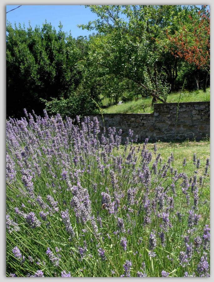 مبيت وإفطار Melazzo Cascina Luvot المظهر الخارجي الصورة